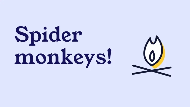 Spider monkeys!
